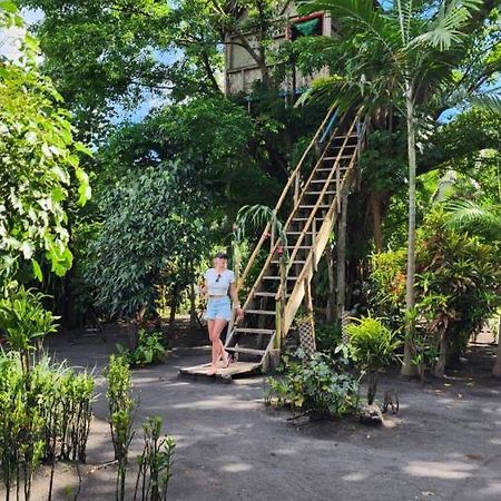 Tanna Volcano View Tree House Lenkuru Luaran gambar