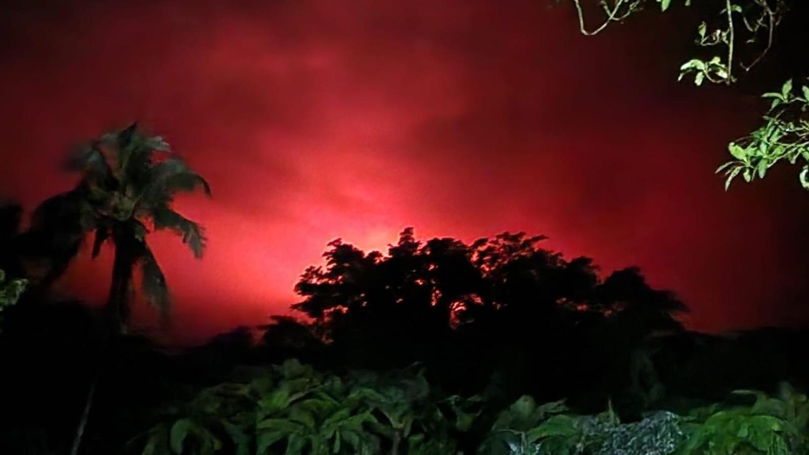 Tanna Volcano View Tree House Lenkuru Luaran gambar